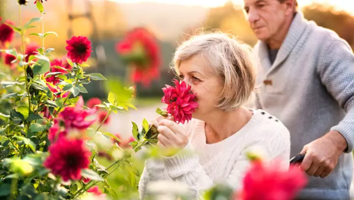What Is Sensory Stimulation And Why Do People With Dementia Need It? 1 What Is Sensory Stimulation And Why Do People With Dementia Need It