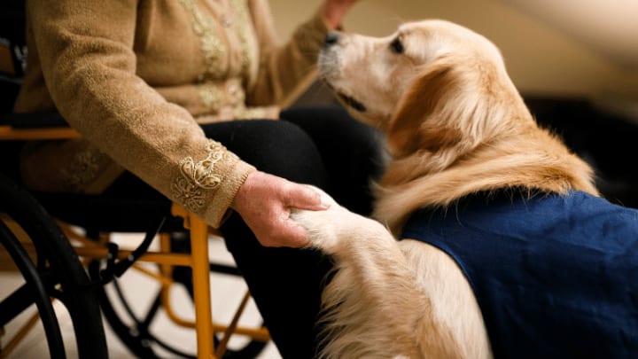 Four Activities For Seniors With Memory Disorders: Care Communities For Dementia In Nichols Hills 1 Image 75